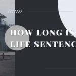 How Long Eevojedanvoe Last